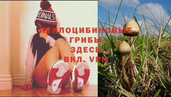 дживик Аркадак