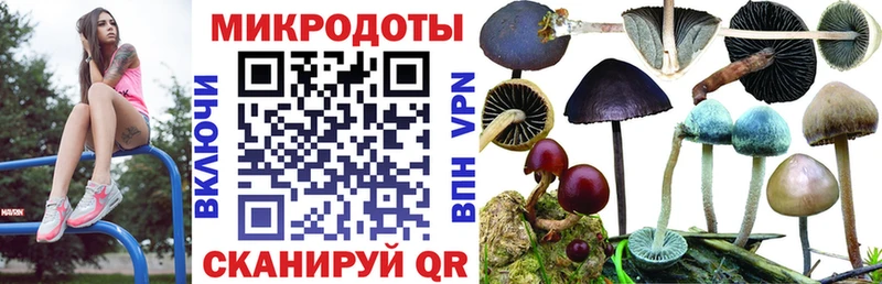 Галлюциногенные грибы прущие грибы мориарти какой сайт Михайлов цены наркотик